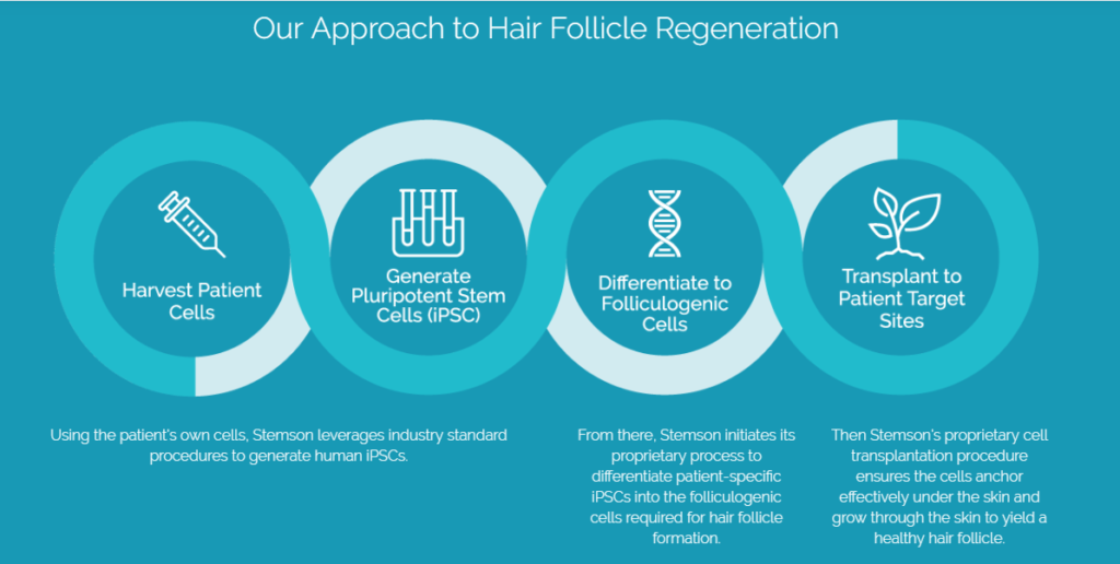 ipsc-hair-follicle-regeneration-follicle-thought